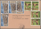 Kamerun: 1981/1993, Accumulation Of Apprx. 200 Commercial (mainly Airmail) Covers To Germany, Bearin - Camerún (1960-...)