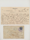 Malaiische Staaten - Straits Settlements: 1891-95: Collection Of 19 Covers From Various Companies In - Straits Settlements