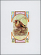 Ras Al Khaima: 1972, U/m Collection In A Thick Stockbook With Attractive Thematic Issues Like Birds, - Ras Al-Khaima