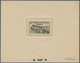 Tunesien: 1906/1982, Almost Exclusively Up To 1955 (French Period), Collection Of Apprx. 326 EPREUVE - Usados