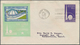 Vereinigte Staaten Von Amerika: 1939, NEW YORK WORLD'S FAIR, Lot Of 51 Only Different FDC Concening - Briefe U. Dokumente