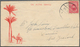 Delcampe - Alle Welt: 1836 To Modern: More Than 100 Covers, Postcards And Postal Stationery Items Worldwide, Fr - Verzamelingen (zonder Album)