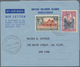 Delcampe - Ozeanien: 1940/2000 (ca.), Accumulation With Approx. 1.250 Covers And Postal Stationeries With Some - Sonstige - Ozeanien