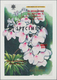 Thematik: Flora, Botanik / Flora, Botany, Bloom: Ab Ca. 1970, ALLE WELT, Sammlung Mit Ca. 350 Stck. - Altri & Non Classificati