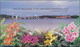 Thematik: Flora-Orchideen / Flora-orchids: 1995 Singapore 'Orchids' Miniature Sheet With Background - Orquideas