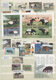 Thematik: Tiere, Fauna / Animals, Fauna: 1920/2000 (ca.), Comprehensive An Wide-spread Mainly MNH Co - Otros & Sin Clasificación