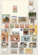 Thematik: Tiere, Fauna / Animals, Fauna: 1920/2000 (ca.), Comprehensive An Wide-spread Mainly MNH Co - Andere & Zonder Classificatie
