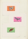 Delcampe - Thematik: Tiere, Fauna / Animals, Fauna: 1900/2008 (ca.), ALL WORLD ANIMALS AND FLOWERS, Most Compre - Autres & Non Classés