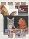 Thematik: Tiere, Fauna / Animals, Fauna: 1977/2006 (ca.), Mainly Modern Issues, Comprehensive MNH Ac - Andere & Zonder Classificatie