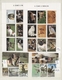 Delcampe - Thematik: Tiere, Fauna / Animals, Fauna: 1980/2000 (ca.), Mainly Modern Issues, Comprehensive MNH Ac - Autres & Non Classés