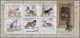 Delcampe - Thematik: Tiere-Hunde / Animals-dogs: 1960/2007 (ca.), Comprehensive Thematic Collection "DOGS OF TH - Honden