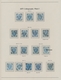 Delcampe - Bosnien Und Herzegowina (Österreich 1879/1918): 1850/1918, Exhibit Collection On 134 Pages (plus A F - Bosnien-Herzegowina