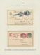 Dänemark - Ganzsachen: 1871-1913: Specialized Collection Of More Than 300 Postal Stationery Cards Wi - Ganzsachen