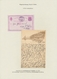 Delcampe - Dänemark - Ganzsachen: 1871-1913: Specialized Collection Of More Than 300 Postal Stationery Cards Wi - Entiers Postaux