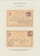 Delcampe - Dänemark - Ganzsachen: 1871-1913: Specialized Collection Of More Than 300 Postal Stationery Cards Wi - Enteros Postales