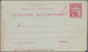 Frankreich - Ganzsachen: 1880/1929 Ca. 60 Unused And Used Postal Stationeries For The Pneumatic Tube - Altri & Non Classificati