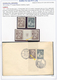 Delcampe - Jugoslawien: 1924/1941, Collection Of 31 Covers/cards (plus Some U/m Material) On Written Up Album P - Lettres & Documents