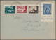 Delcampe - Kroatien: 1941/1943, Assortment Of 22 (mainly Commercial) Covers/cards Incl. Used Stationeries, Incl - Croatie