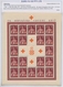 Kroatien: 1941/1945, Specialised U/m Assortment On Written Up Album Pages, Comprising Especially A N - Croatie