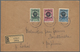 Polen: 1919, Overprints, Lot Of 24 Used Stamps Incl. Poznan Overprints On Germany Used On Cover; Som - Gebruikt