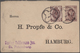 Russland - Ganzsachen: 1876/1905, 20 Preprinted And Commercially Used Postal Stationery Cards And En - Entiers Postaux