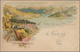 Delcampe - Schweiz: 1840er-1940er: Rund 230 Briefe, Postkarten, Ganzsachen Und Ansichtskarten Der Schweiz, Dabe - Collections