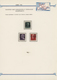 Delcampe - Triest - Julisch-Venetien (A.M.G.V.G.): 1943/1946, Deeply Specialised Collection On Album Pages, Com - Ongebruikt