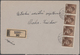 Tschechoslowakei - Stempel: 1945/1947, Transition Period, Collection Of Apprx. 265 (almost Exclusive - Autres & Non Classés