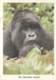 Animaux - Singes - Rwanda - The Mountain Gorilla - Gorille - Carte WWF - Voir Scans Recto-Verso - Affen