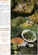 Recettes De Cuisine : Lot De 17 Cartes Neuves  Editions Debaisieux - Recipes (cooking)