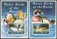 1995 Grenada Water Birds Set, Minisheet And Souvenir Sheets (** / MNH / UMM) - Canards