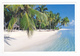 Maldives Heaven On Earth En 1993 VOIR Timbre Oiseau Sterna Dougallii - Maldives
