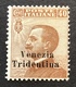 Trentino-Alto Adige 1918 Sa. 24 = 450€ Mint * VF „VENEZIA TRIDENTINA“ (1914-18 War Italy Regno D‘ Italia Italie - Trento