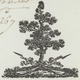 Héraldique Colmar An 8 - 23.11.1799 L'Administration Forestière Pour Ensisheim - Historical Documents