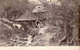 MOULIN À EAU / WATER MILL - PHOTO APPLIQUÉE SUR UNE CARTE ENTIER POSTAL / REAL PHOTO On STATIONERY CARD ~ 1900 (ad728) - Romania