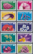 Gibraltar: 2004/2006. Wildflowers: The Complete Set (13 Values) And Also The Complete Additional Set - Gibraltar