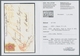 Schweiz: 1850, "10 Rp. Rayon II, Stein E, Type 4", Farbfrischer Oberrandwert Mit Allseits Vollen/bre - Used Stamps