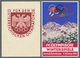 Thematik: Olympische Spiele / Olympic Games: 1936 - Garmisch-Partenkirchen, Zwei Ofizielle Frankiert - Other & Unclassified