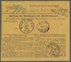 Deutsches Reich - Pfennig: 1884, Nachnahme-Paketkarte Im "Wechselverkehr" Von Pyrmont Nach Sulz Am N - Cartas & Documentos