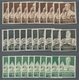 Delcampe - Deutsches Reich - 3. Reich: 1934, Nothilfe, Berufsstände, 2 Kpl. Sätze Postfrisch (40 Pfg Einmal Mit - Unused Stamps