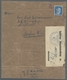 Deutsches Reich - 3. Reich: 1941, Zollfreie Monatssendung, Paketadresse Mit Aufkleber FP Nr. 59702 U - Nuevos