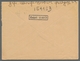 Delcampe - Alle Welt: 1861-1998, Kleiner Karton Mit Einer Fülle Ungewöhnlicher Belege, Von Posthilfsstellenstem - Sammlungen (ohne Album)