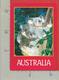 CARTOLINA VG AUSTRALIA - Koala - 12 X 17 - 1990 - Altri & Non Classificati