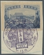 Delcampe - Japan: 1872-2018, Riesige Japan-Sammlung In Zwölf Steckalben. In Der Klassischen Periode Gewohnt Lüc - Altri & Non Classificati