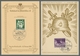 Ansichtskarten: Propaganda: 1935-42, Acht Teils Colorkarten Bzw. Gedenkblätter In Guter/sehr Guter E - Partidos Politicos & Elecciones