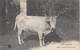 LES PYRENEES: Une Bonne Nourrice (vache) - Aquitaine