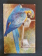 Ara Araruana Parrot  - OISEAU / BIRD - PERROQUET / PARROT -  ILLUSTRATION  - TSN - VINTAGE ART PC - Oiseaux