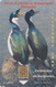 Télécarte TAAF - Animal - OISEAU - CORMORAN Des Iles KERGUELEN ** 2000 EX **  BIRD Phonecard - Vogel TK - 4541 - TAAF - Terres Australes Antarctiques Françaises