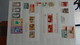 Delcampe - B376 Collection Timbres Et Blocs ** D'Allemagne. A Saisir !!! - Collezioni (in Album)