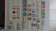 Delcampe - B377 Collection Timbres Et Blocs ** D'Allemagne. A Saisir !!! - Sammlungen (im Alben)